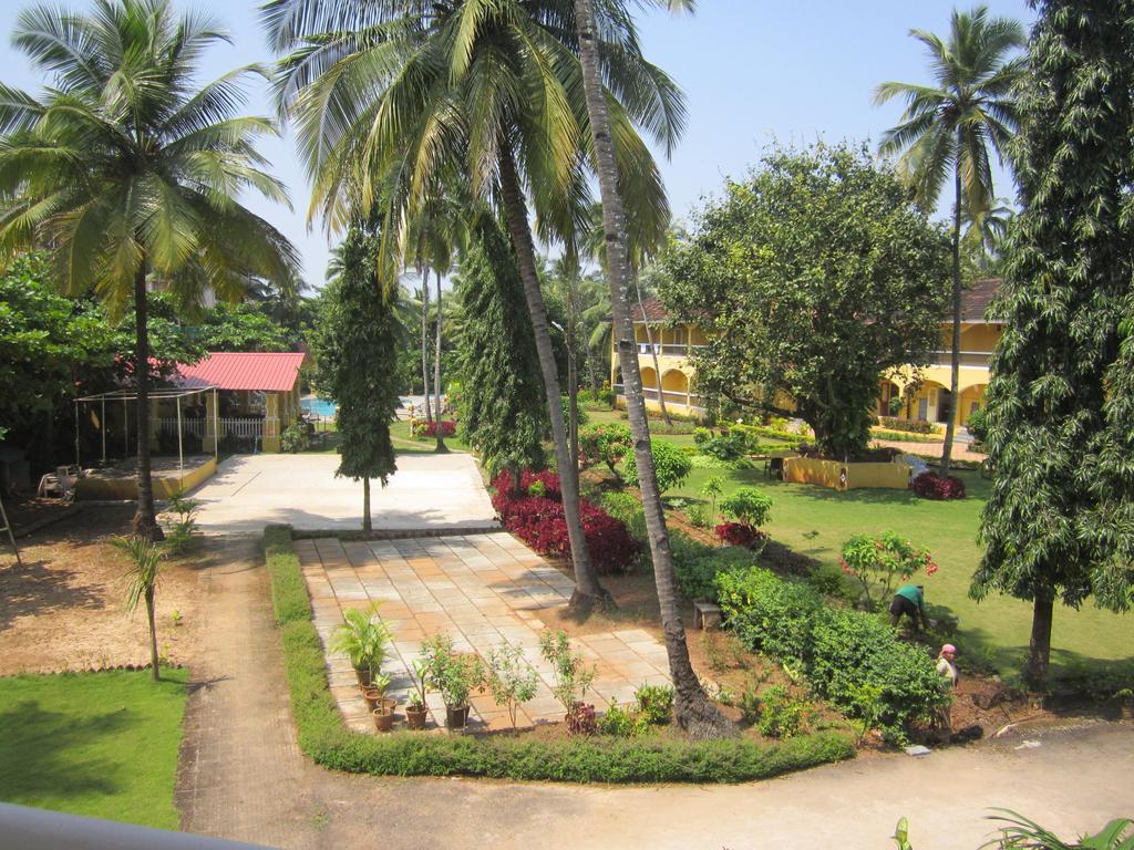Resort Carina